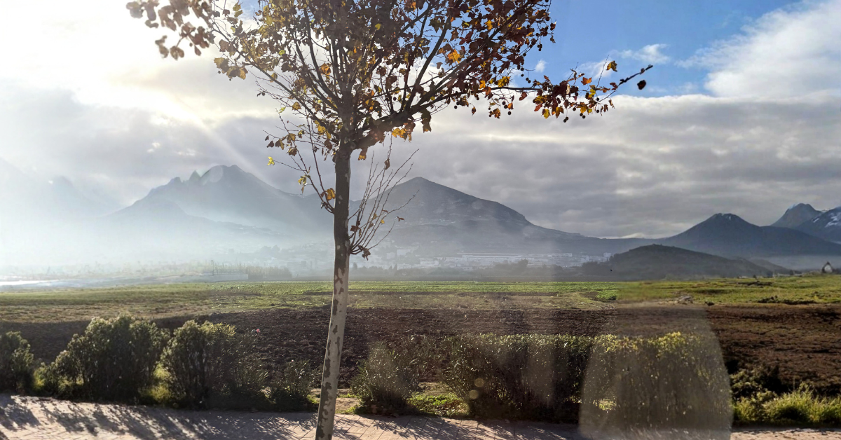 A single tree standing in an open field with mountains in the distance under shifting light and clouds.